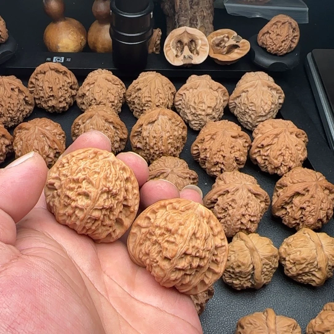 43尺白狮子微黄尖