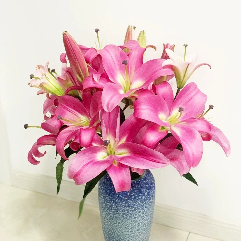 香水百合（生花苞发货）鲜花百合花云南基地直发家庭办公室水养瓶插