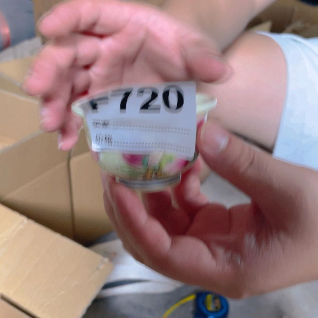 摆件F720陶瓷陶瓷陶瓷