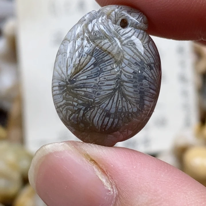 颈饰未镶嵌硅化珊瑚（珊瑚玉）小