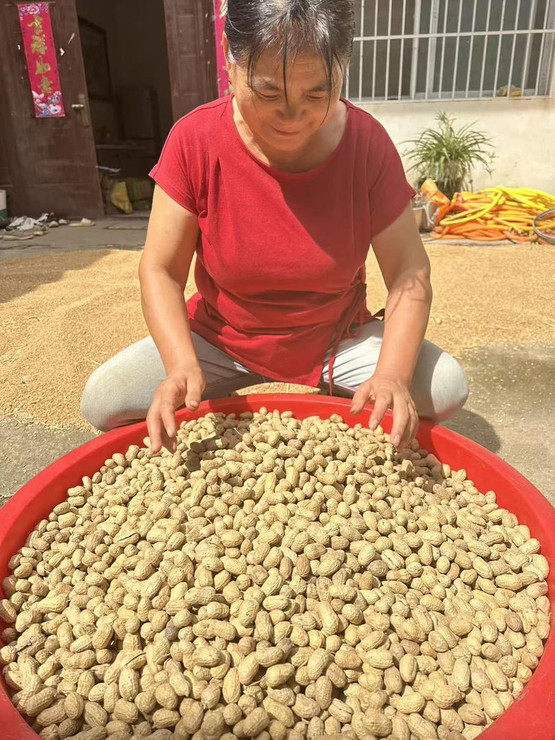 自然晾晒干花生2025年阿杜小姨自家亲自挑选新货带壳大颗5斤