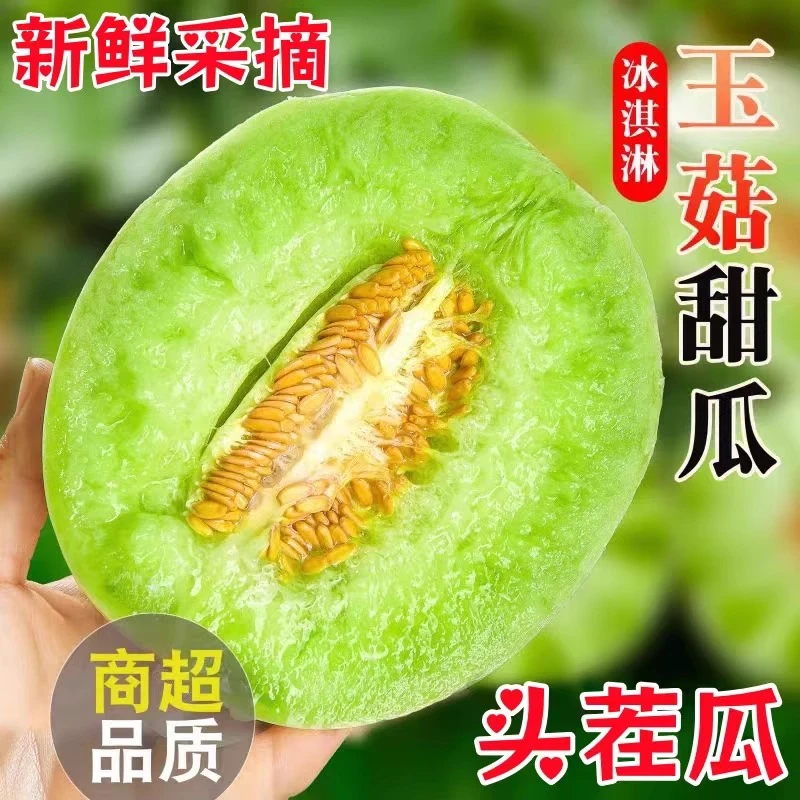 【高品质】山东聊城玉菇甜瓜 冰淇淋蜜香瓜 新鲜水果 包邮 产地直发