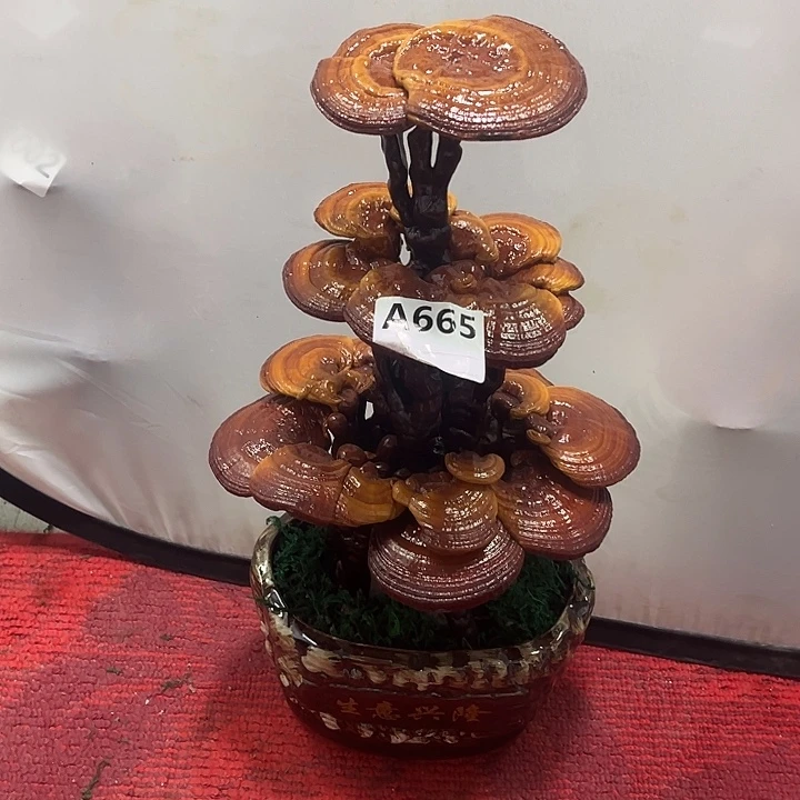 全部花朵888888888888