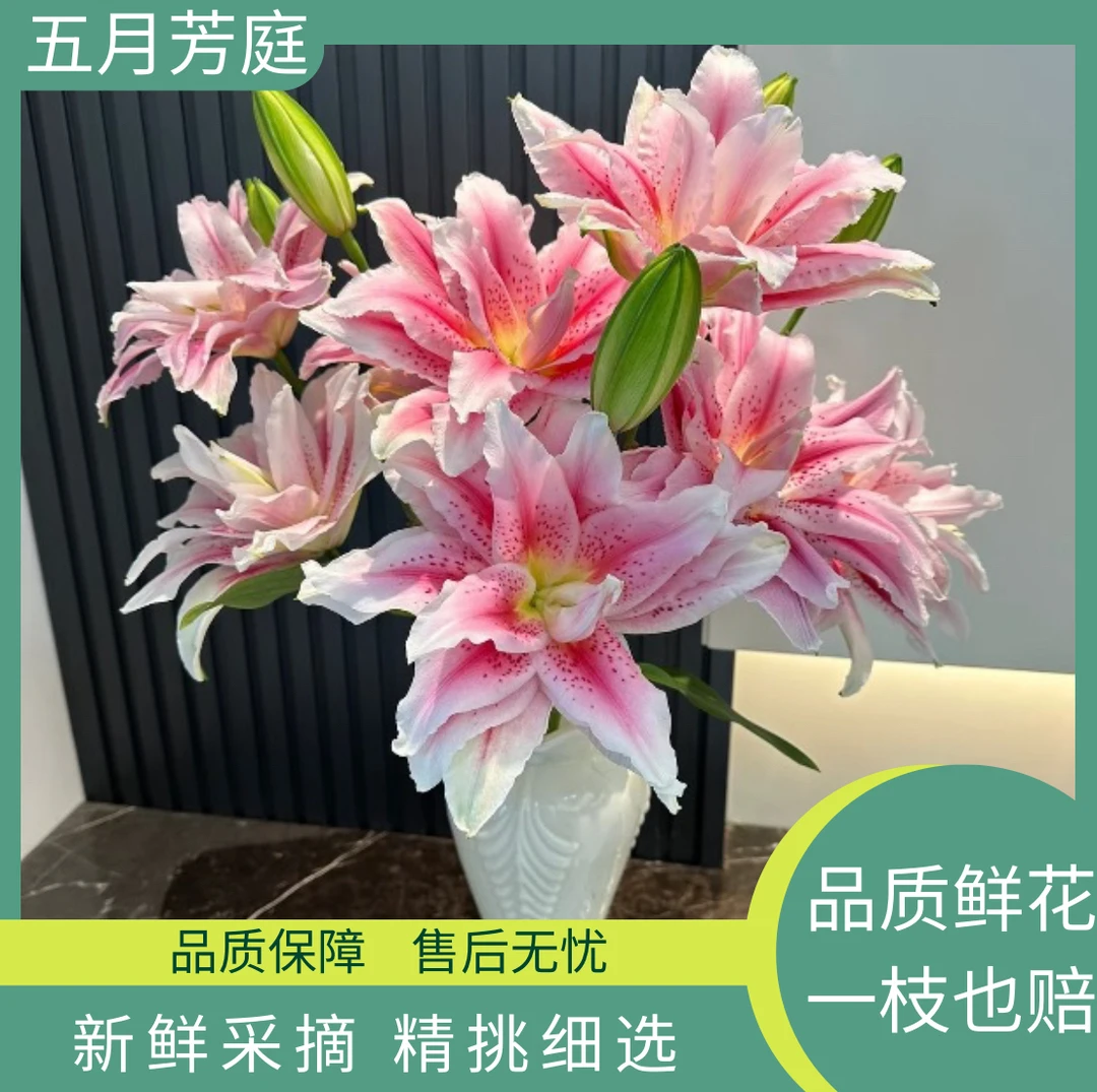 超大单头【太平盛世】百合高级稀缺#小众#鲜花花材