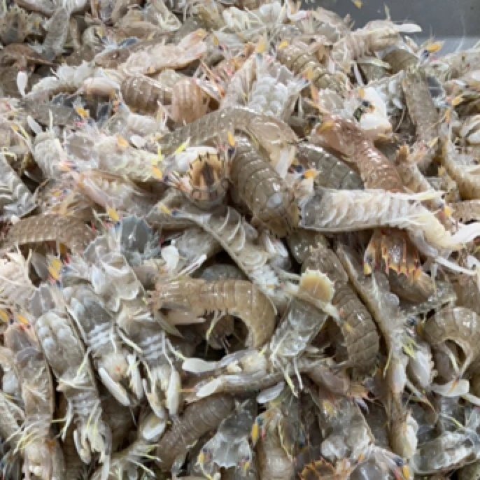 《二伟水产，品质之选》中大号虾爬子128二斤包邮