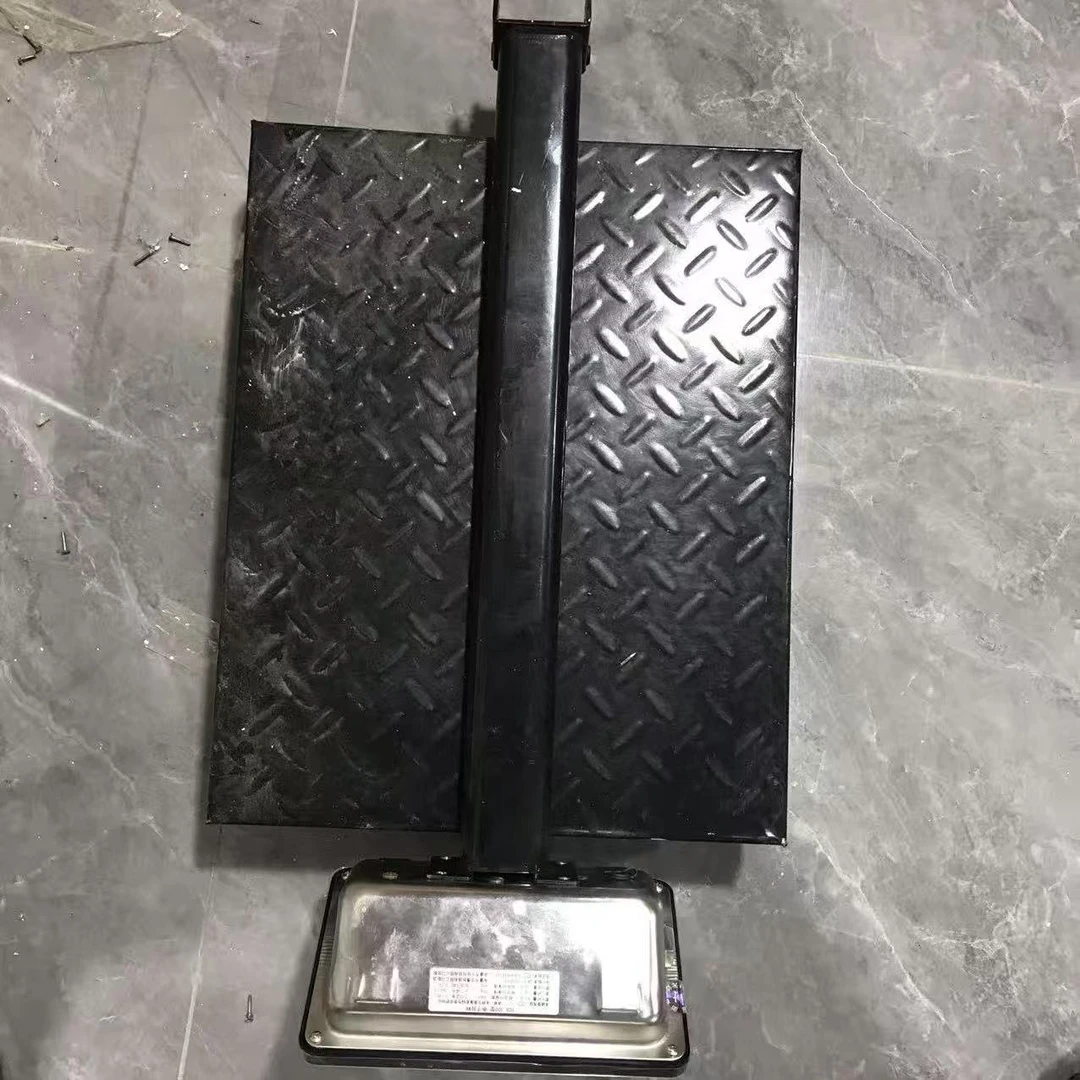 粉丝浮力 电子秤