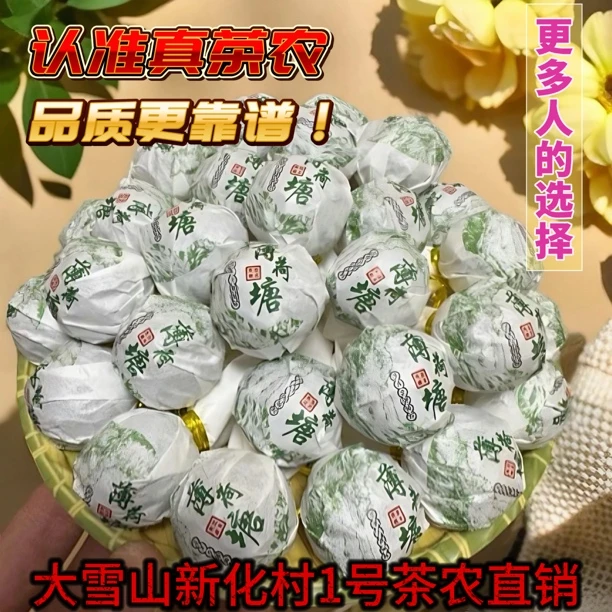 10颗装薄荷塘黄金叶龙珠茶农直销