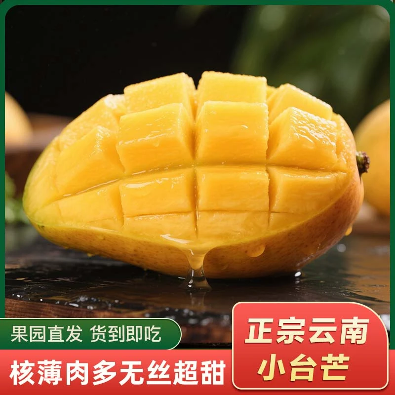 云南台农树上应季新鲜热带水果香甜多汁10斤芒果小台芒