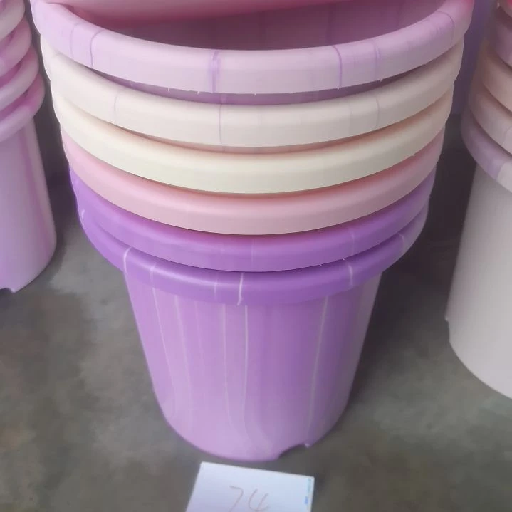 编号是74号的74号的