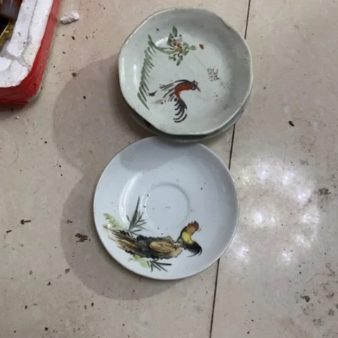 8***海z c x c z c z c x x