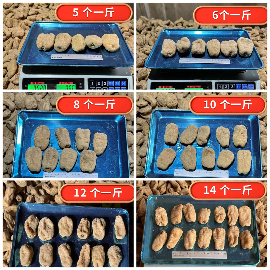 昭通小草坝干天麻全规格师弟家的天麻产地直销云南野长老天麻