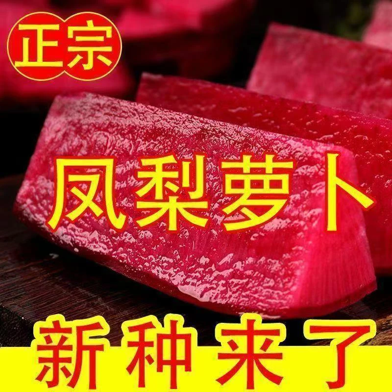 【凤梨萝卜种子】红心萝卜种籽四季秋播阳台盆栽农家蔬红皮秋季播