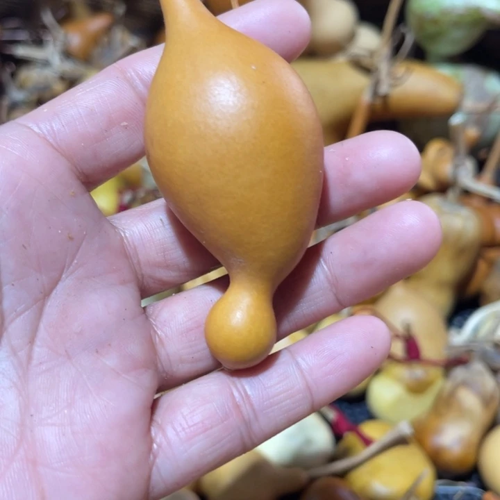 大***偉葫芦葫哈哈哈哈哈哈