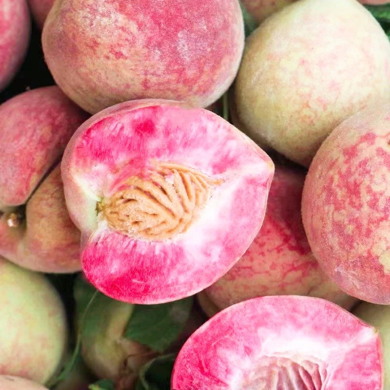 百花桃贵州特色老品种/小脆桃4.5斤新鲜采摘顺丰发货