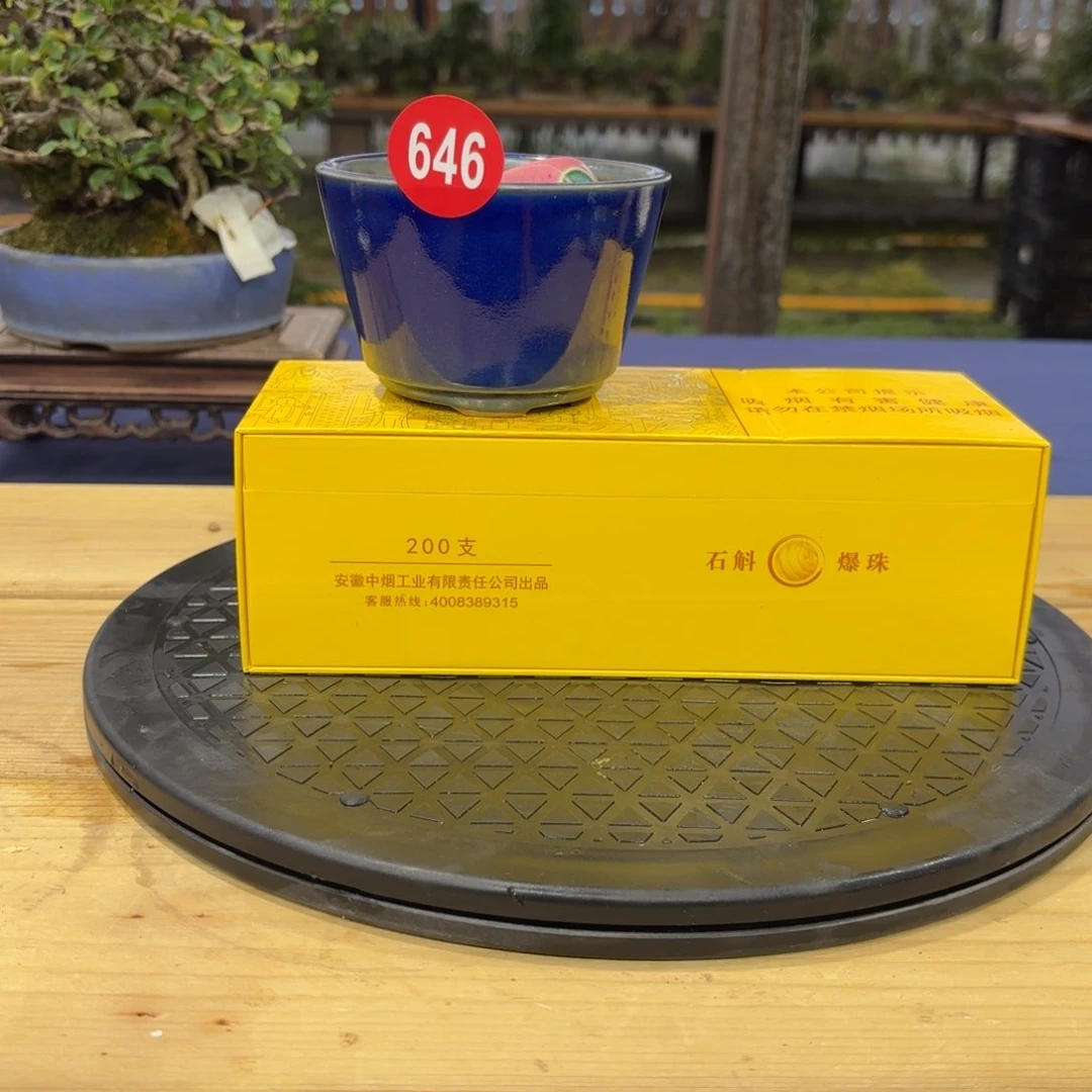 V****n全场盆景一物一拍646