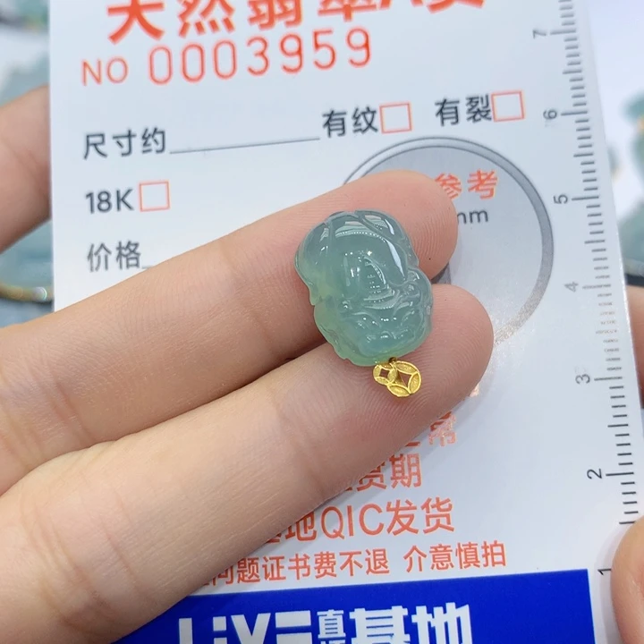 翡翠未镶嵌颈饰1*吊坠