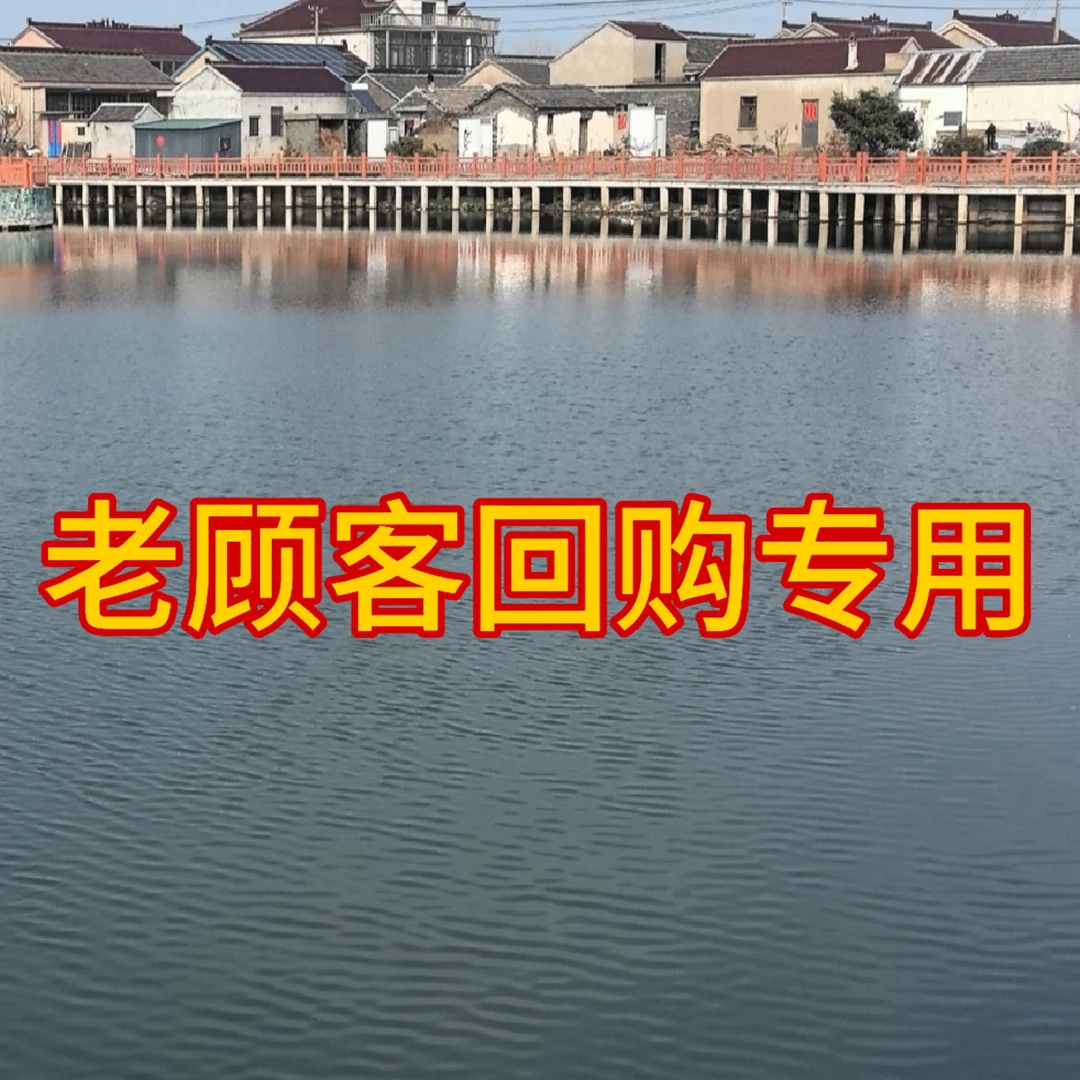 【全母20送10只】单只0.5-0.8两小龙虾螃蟹老顾客回购