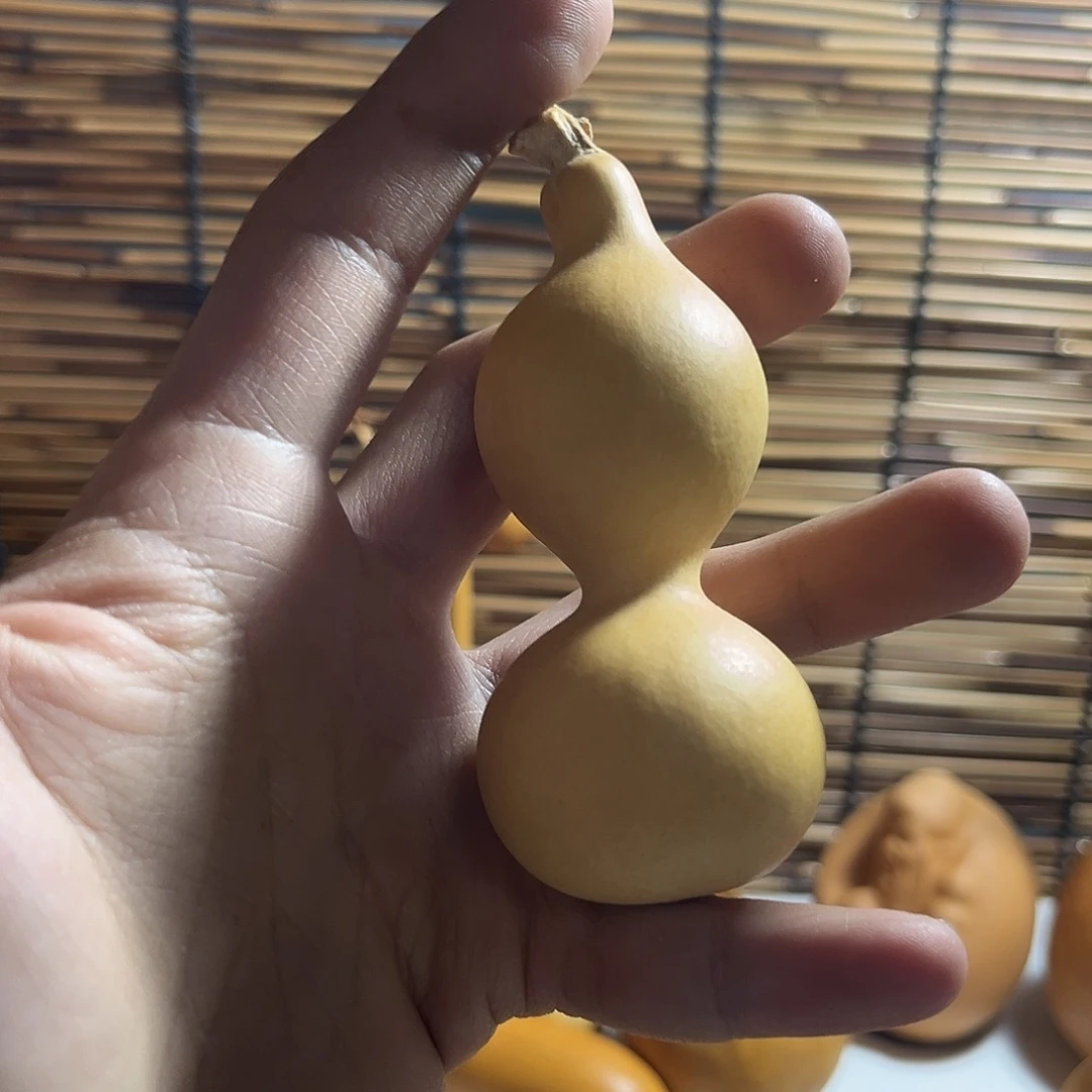 天津嘴葫芦品种的