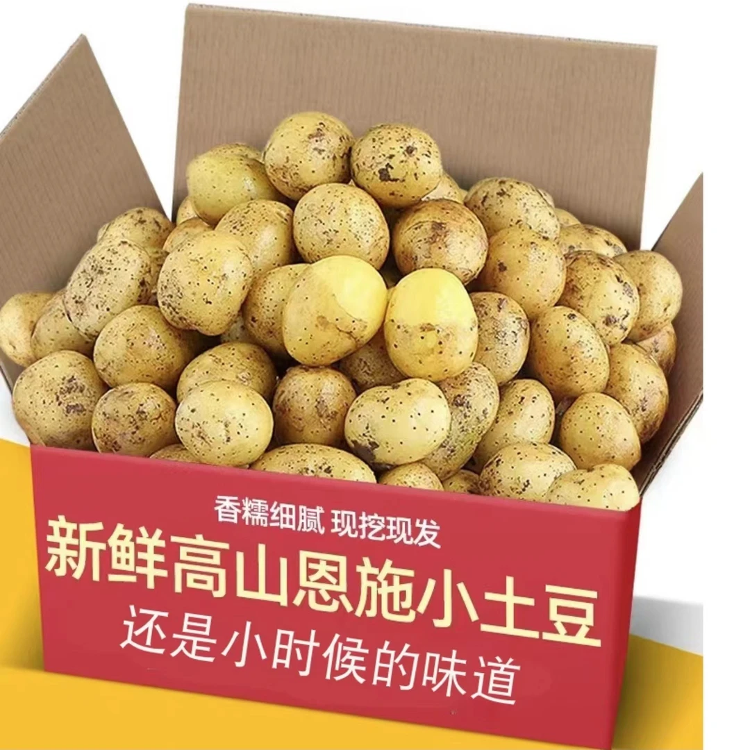网红恩施黄心小土豆新鲜现挖马铃薯中果整箱净重5斤应季蔬菜健康