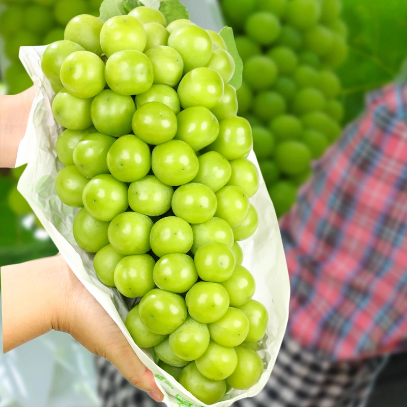 【彩味堂】云南阳光玫瑰葡萄当季新鲜水果甜蜜多汁