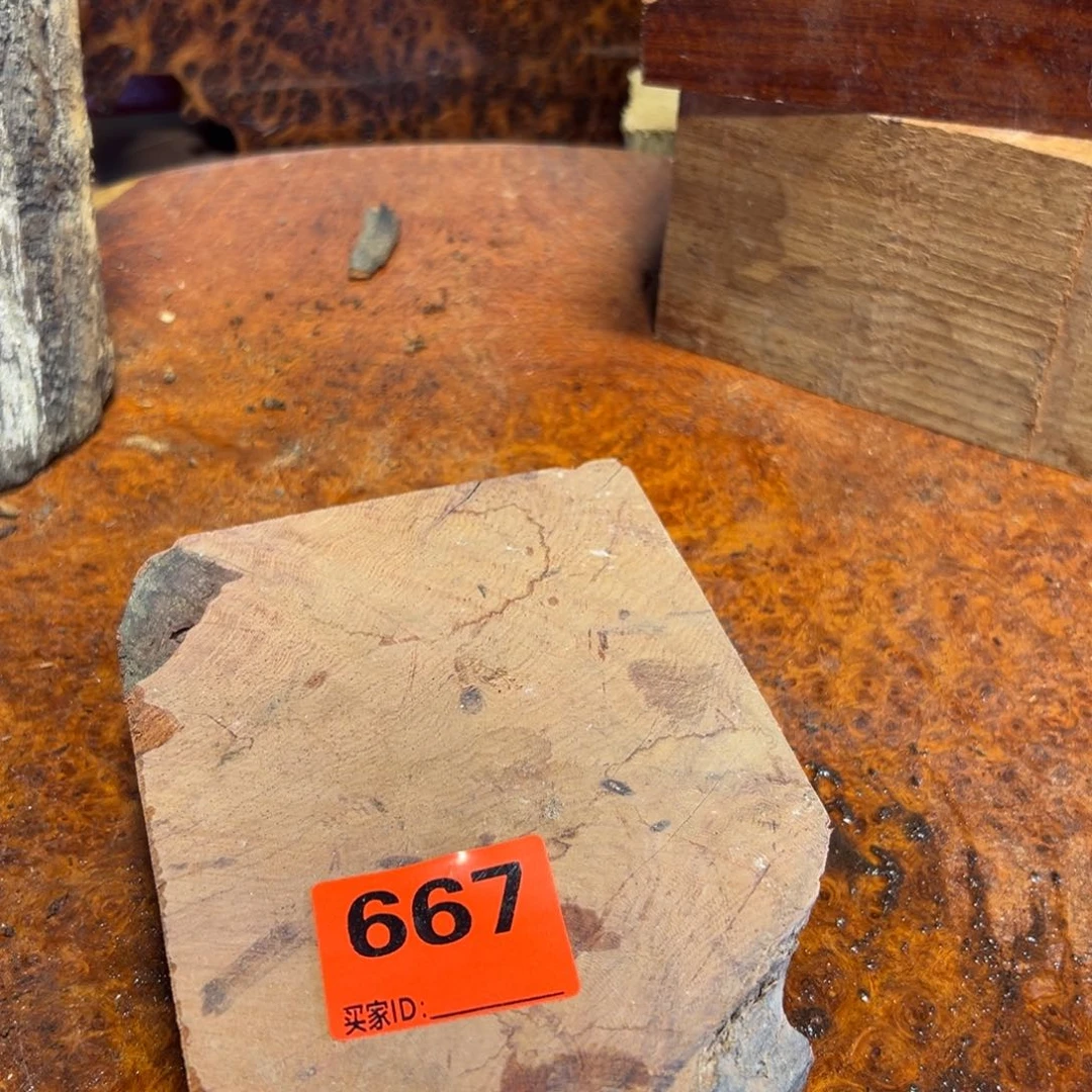 大果紫檀（缅甸花梨）