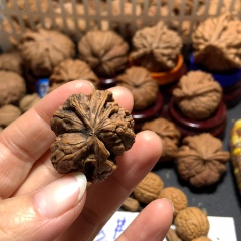 核桃C*异形单只一个