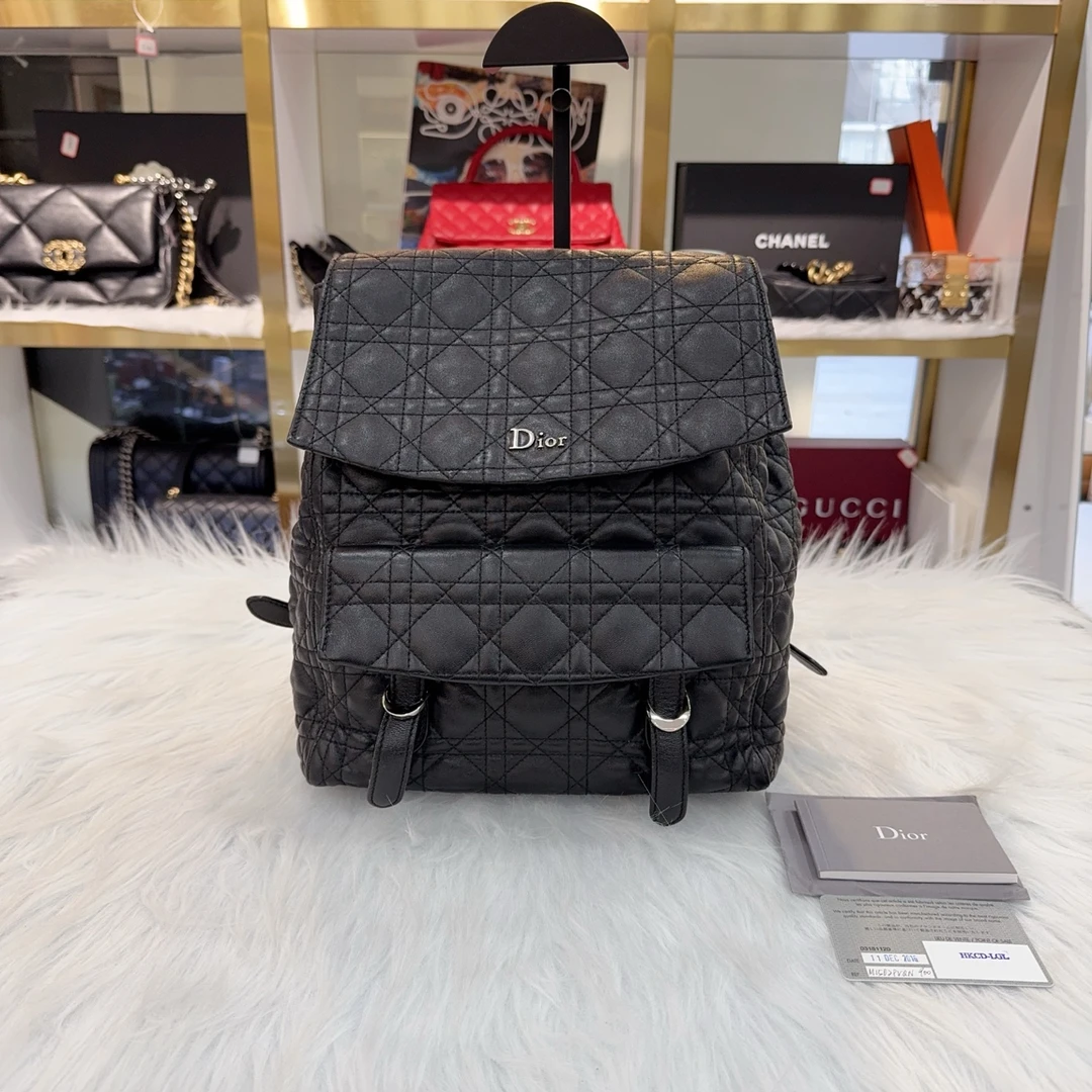 95新 DIOR/迪奥 迪奥羊皮藤格纹双肩包