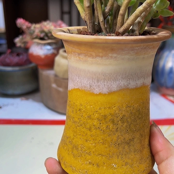 景德镇陶瓷2单包邮