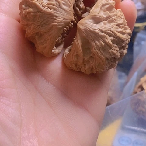 桃核把件官帽蛇头