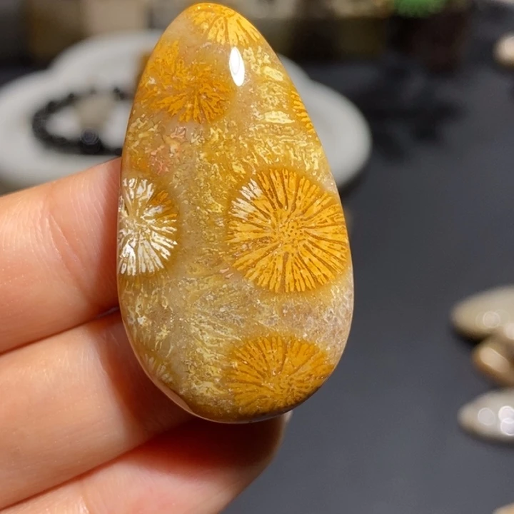 【闪购商品】未镶嵌珊瑚玉硅化玉