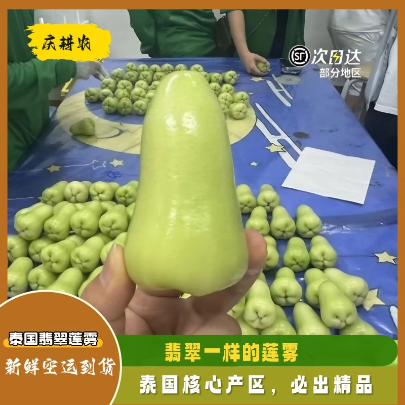 泰国翡翠莲雾应季空运当季时令莲雾稀有品种顺丰包邮