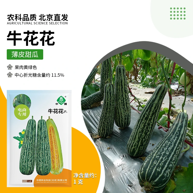 【农科院推荐】甜瓜种子蔬菜种子阳台小菜园盆栽春耕节推荐简单易种