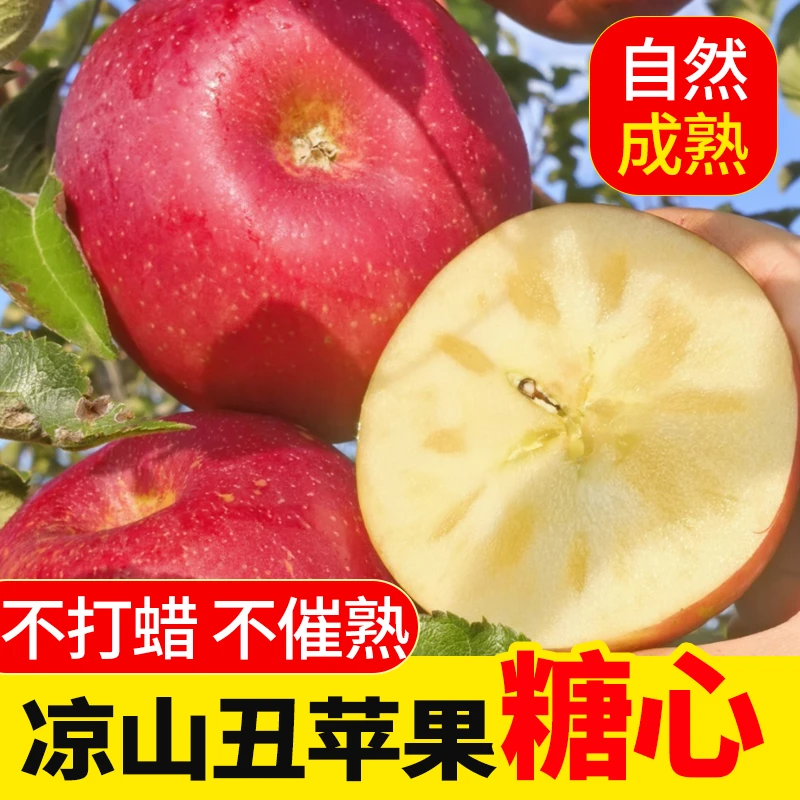 四川大凉山盐源丑苹果糖心新鲜水果新鲜采摘脆甜应季水果冰糖心