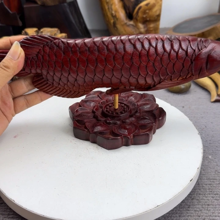 大果紫檀（缅甸花梨）?****?