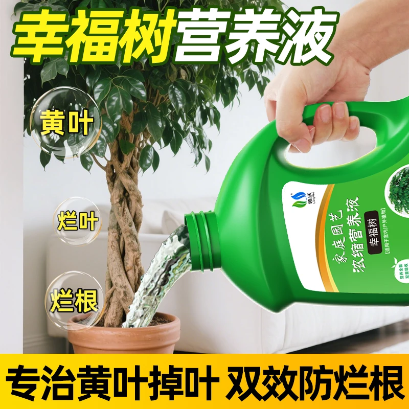 【新手友好】领沃幸福树专用肥料营养液盆栽叶子干枯落叶黄叶液体肥