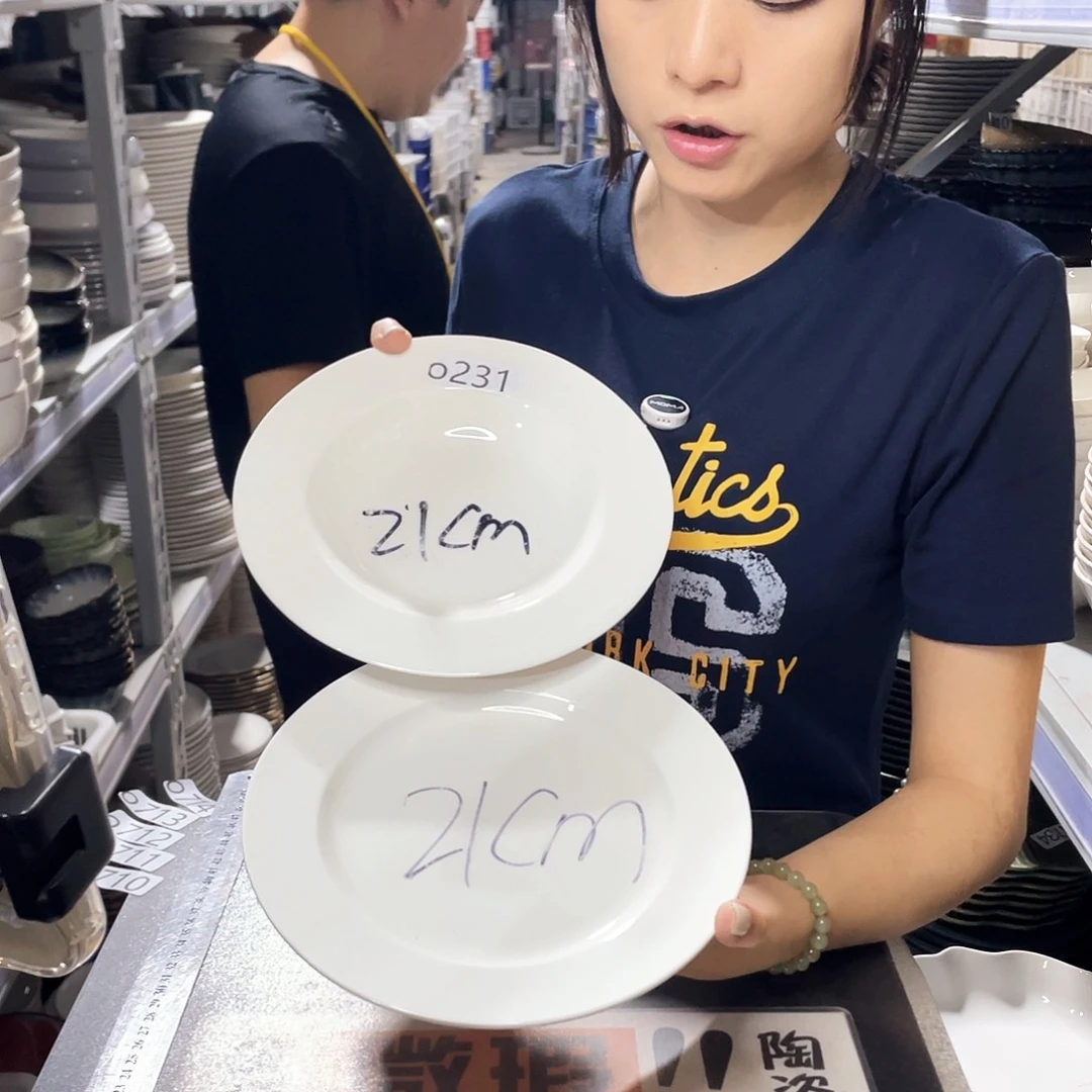 瓷片231            各2个