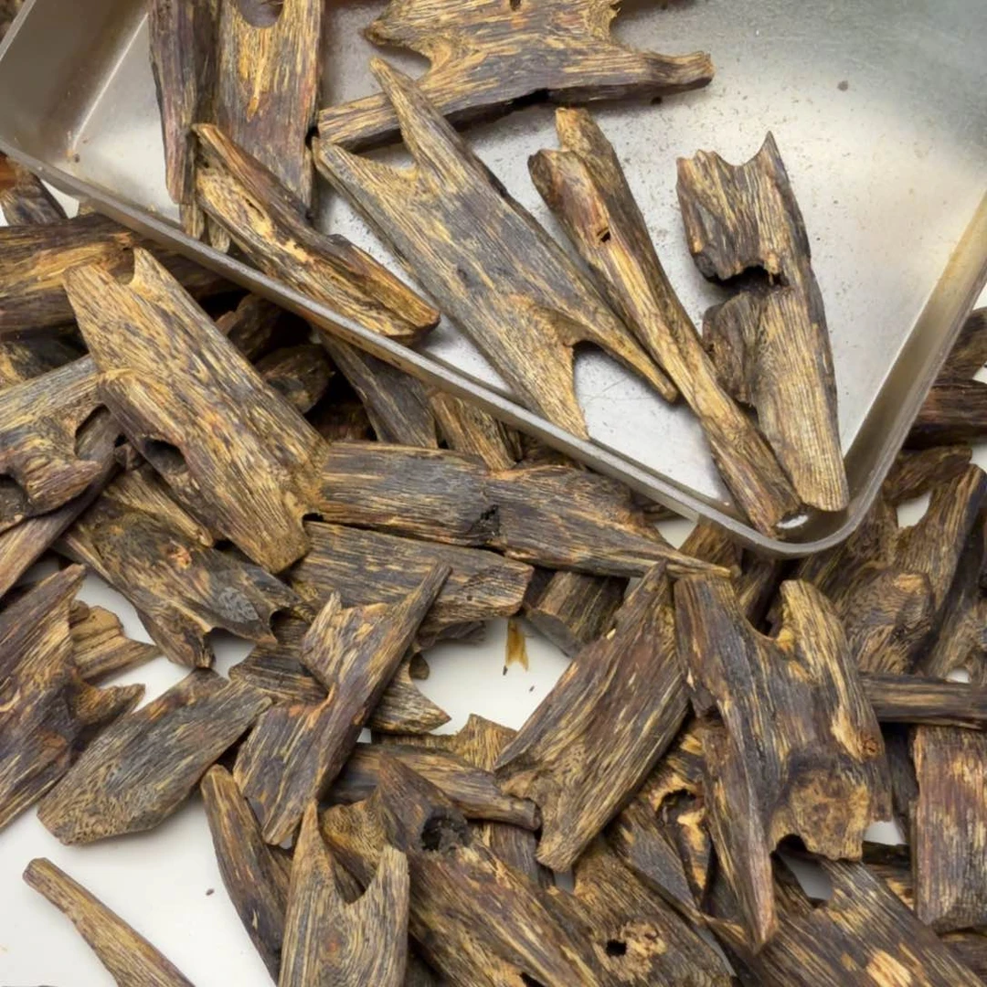 沉香沉香碎屑透顶绿熏香料20g+
