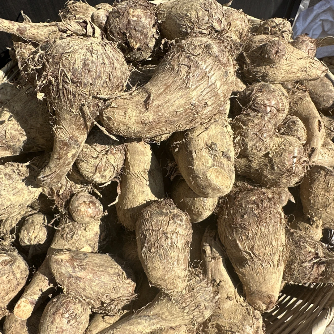 小芋头，软糯香，农家自种