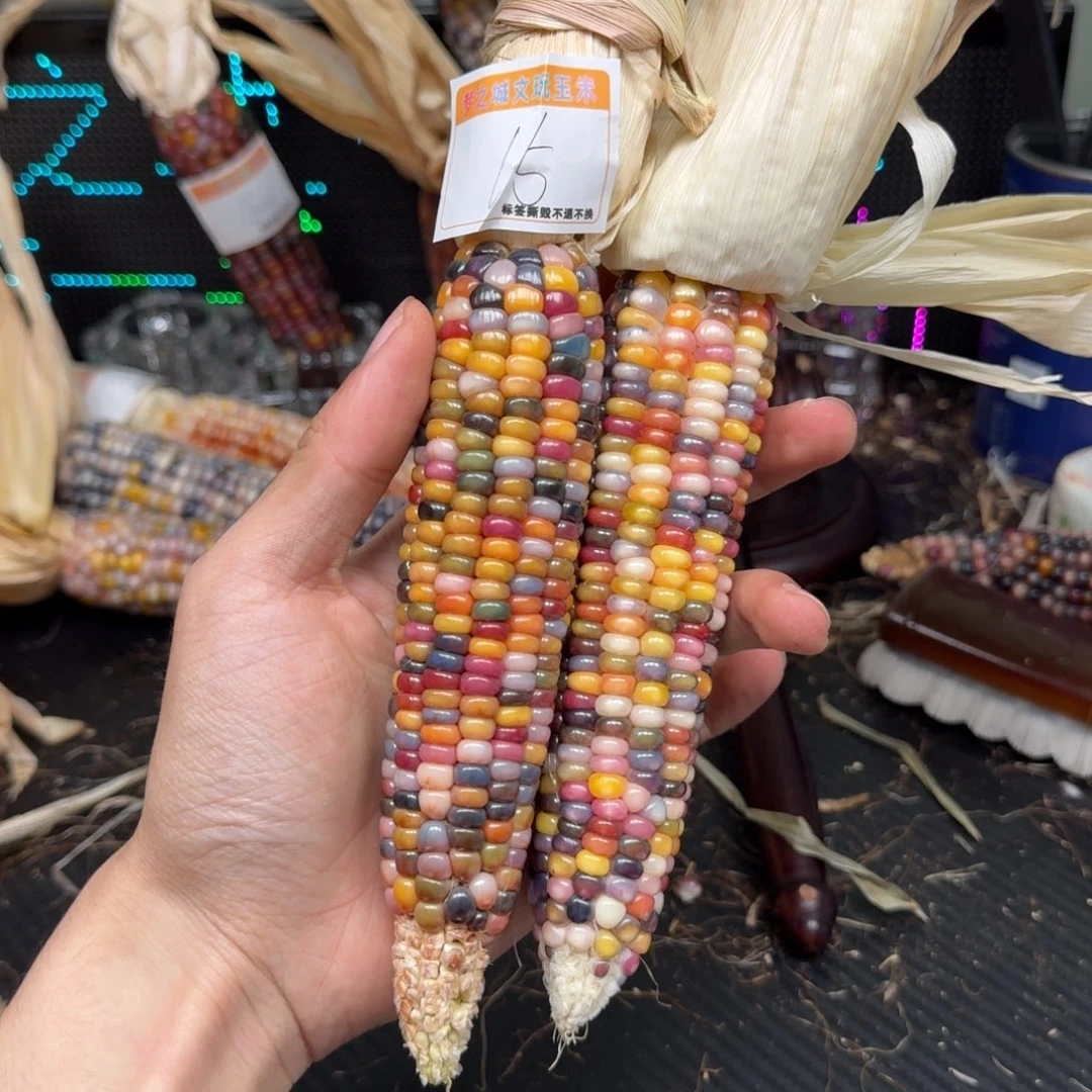 柏香籽/百香籽吊坠c****n