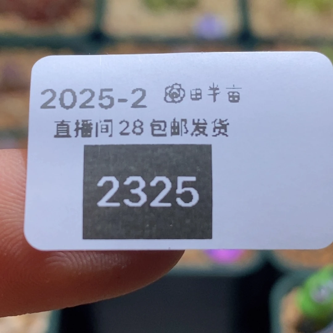 披***?2-2325好看好看好看披萨哈默