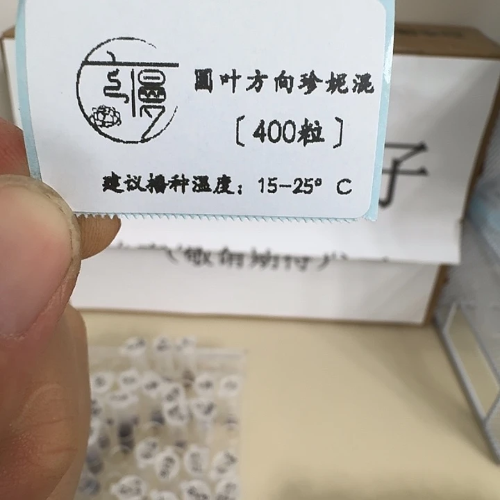 如****如图2025圆叶方向珍妮种子400粒不包出芽率