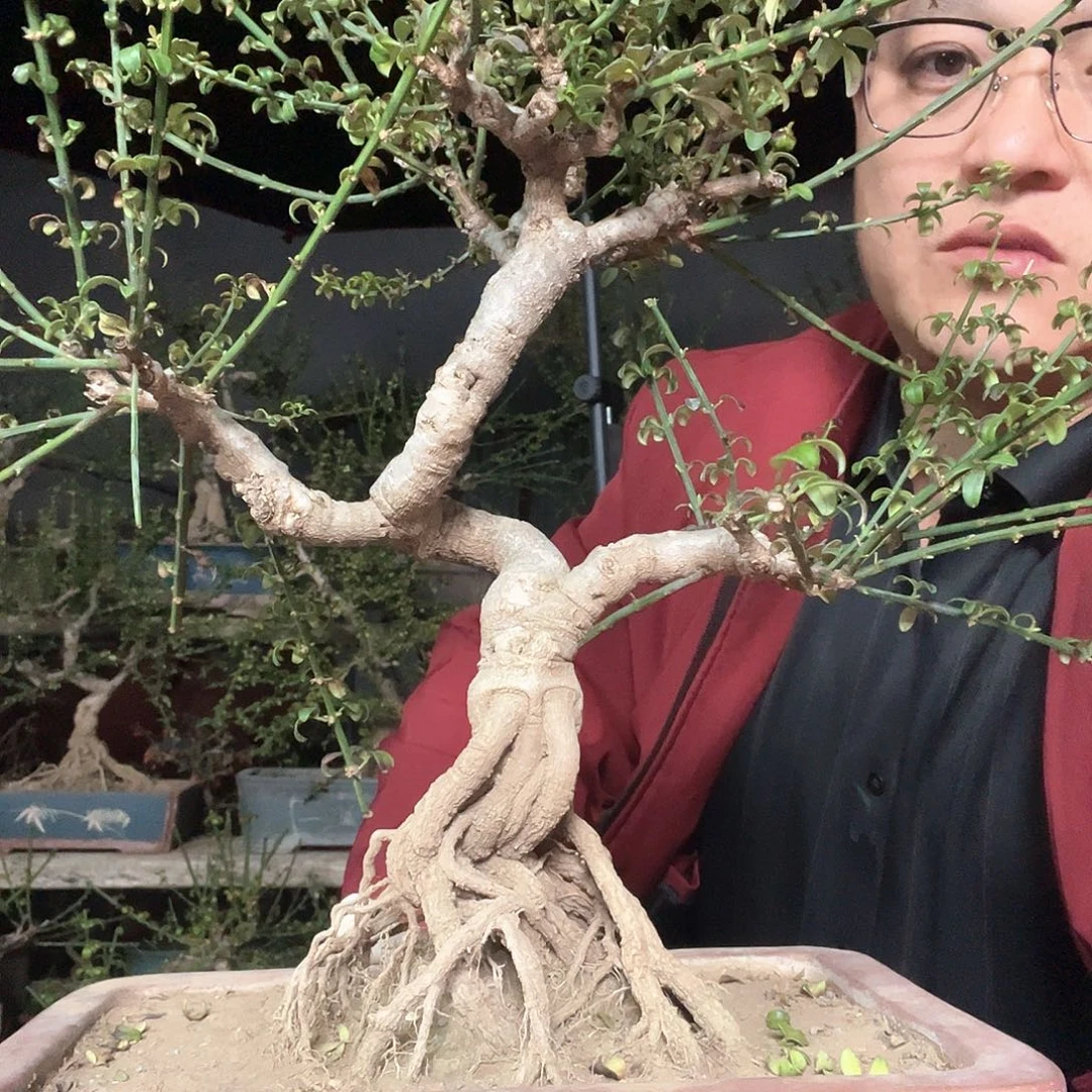 莒***心无花朵谢谢你的关心和支持