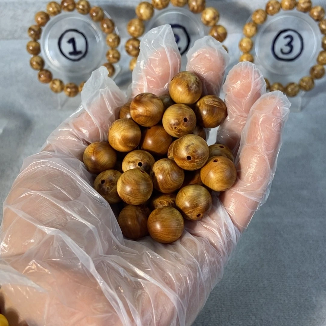 柏木（崖柏）@**羊太行崖柏