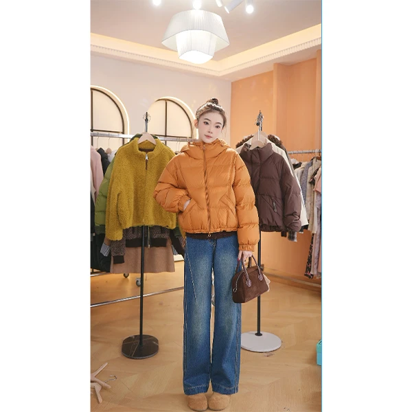 L1049  2025年秋冬新款时尚气质显白百搭显瘦短款上衣