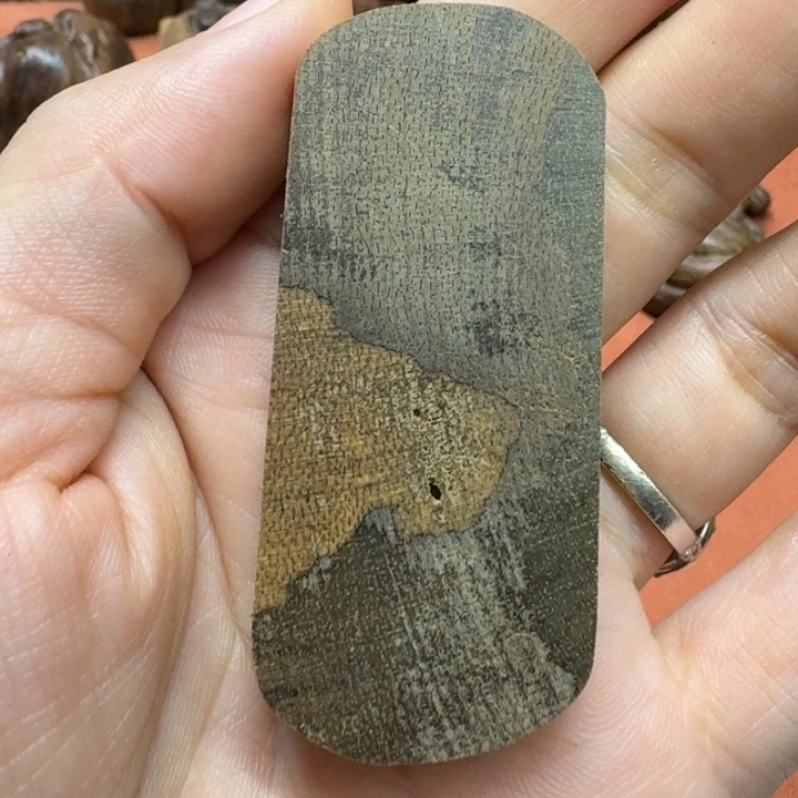 大叶紫檀（黑酸枝木类）
