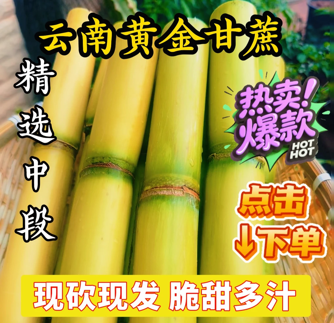 云南甘蔗现砍现发脆甜多汁当季新鲜水果