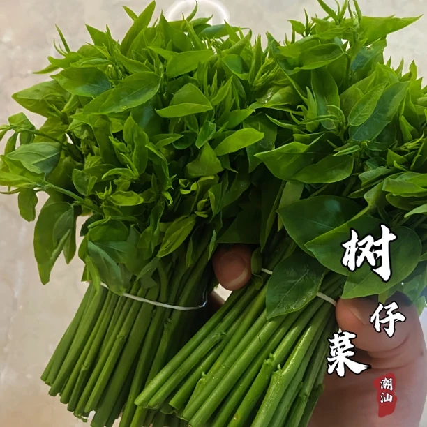 蔬菜套餐新鲜农家自种果蔬本地当季青菜混搭乡下农产品多种口味