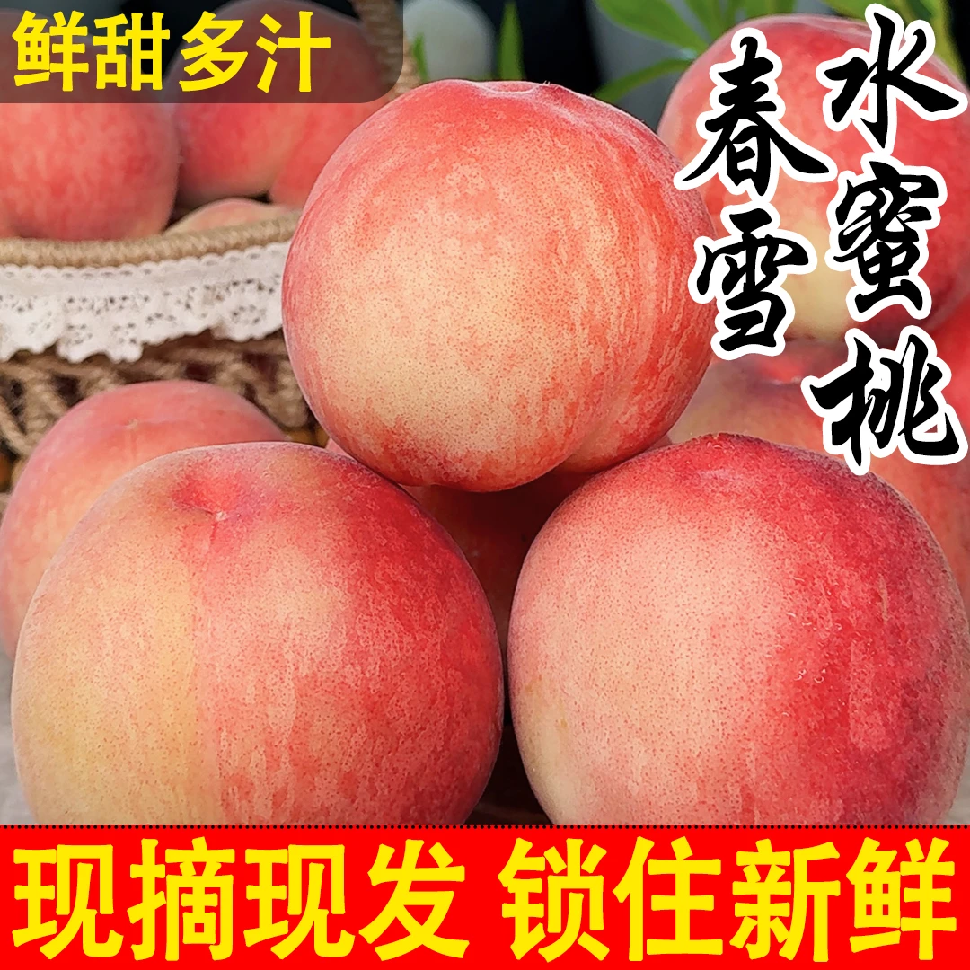 【现采现摘】山西水蜜桃新鲜现摘鲜甜多汁脆软两吃应季水果