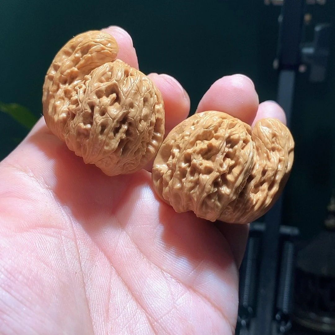 s***-把件文玩核桃42白狮子犀牛