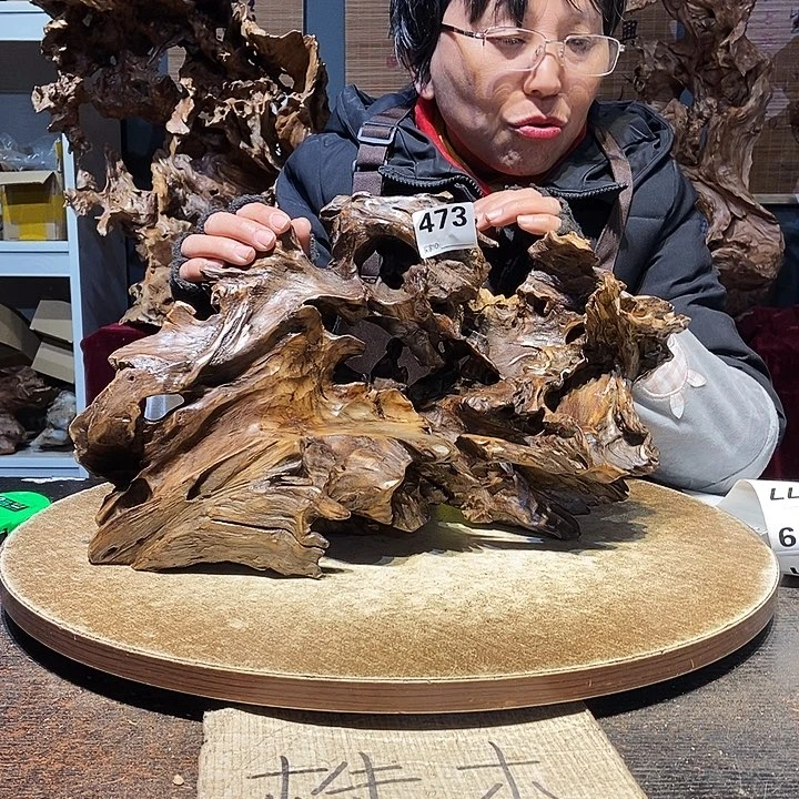 D***·473。随行根艺株木